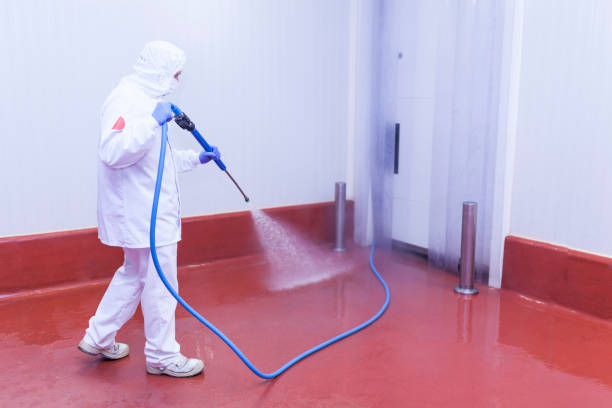 Best House Exterior Washing  in Zephyrhills South, FL